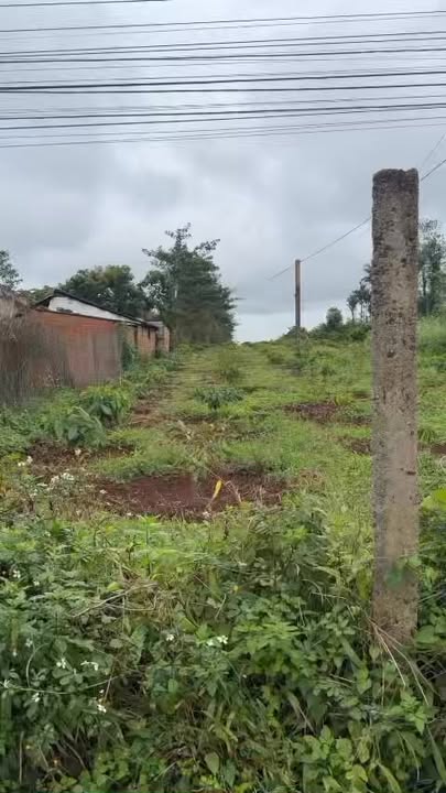 Đất nền Pơng Drang, Krông Búk 1995m² – Sổ đỏ chính chủ, tặng vàng!