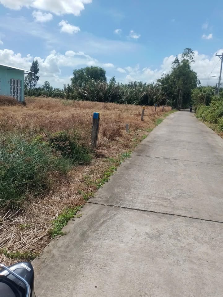 Bán Đất Vườn Mỹ Xuyên 1900m² Giá 300 Triệu - Sổ Hồng Chính Chủ