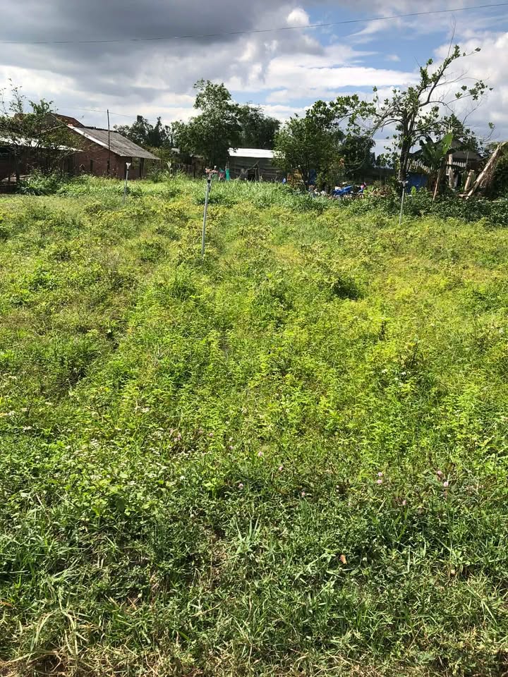 Đất nền Bình Tân Tây Sơn 150m² giá 300 triệu - Sổ đỏ chính chủ