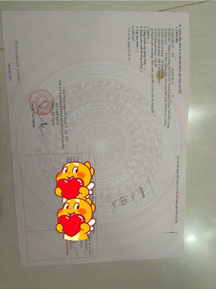 Đất nền đấu giá Ao Luông Lạng Giang 85m² 1.85 tỷ - Sổ đỏ chính chủ!