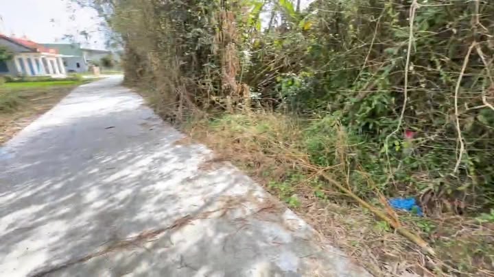 Đất Nền Bình Thuận, Hải Châu 980m² - Tiềm Năng Tăng Giá Vượt Trội!