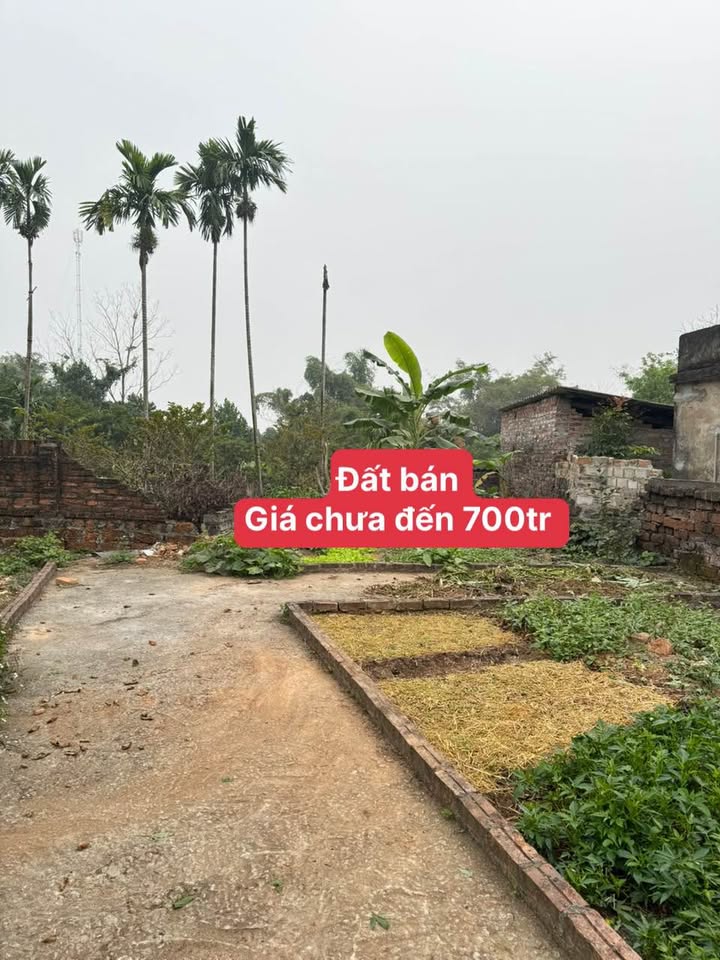 Đất nền Phúc Thọ Hà Nội 41m² giá dưới 700 triệu - Sổ hồng chính chủ