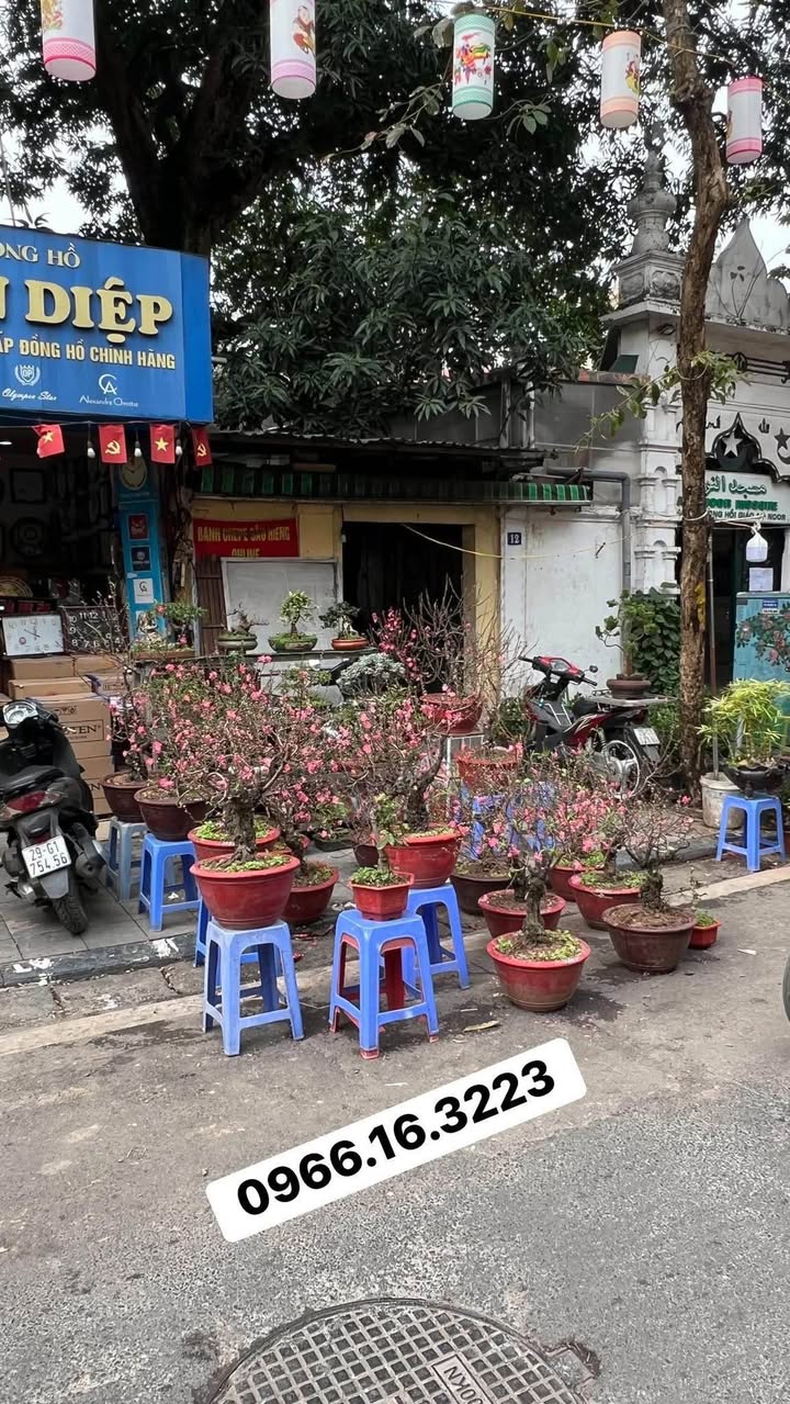 Cho thuê mặt bằng Hàng Đào 40m² giá 65 triệu - Vị trí kinh doanh vàng