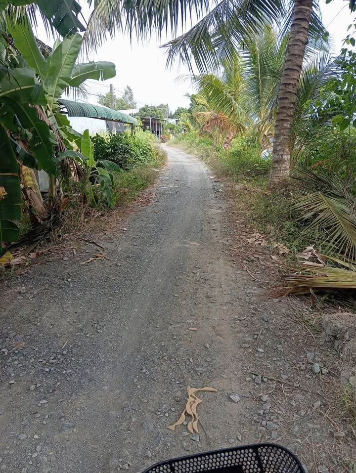 Đất nền Châu Thành An Giang 3811m² - Sổ đỏ chính chủ, đầu tư sinh lời!