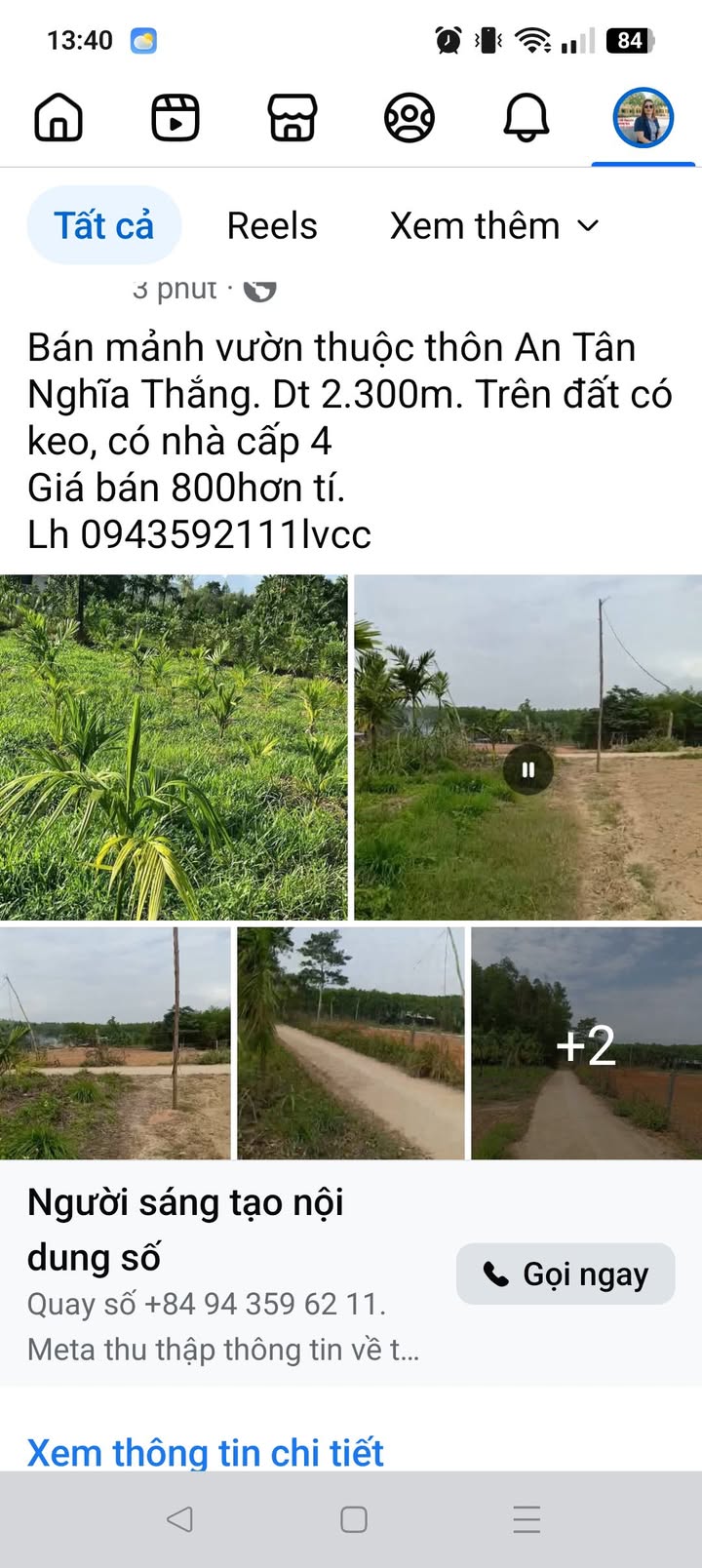 Bán Gấp Vườn 2300m² Nghĩa Thành, Châu Đức - Sẵn Sổ Hồng, Giá Tốt