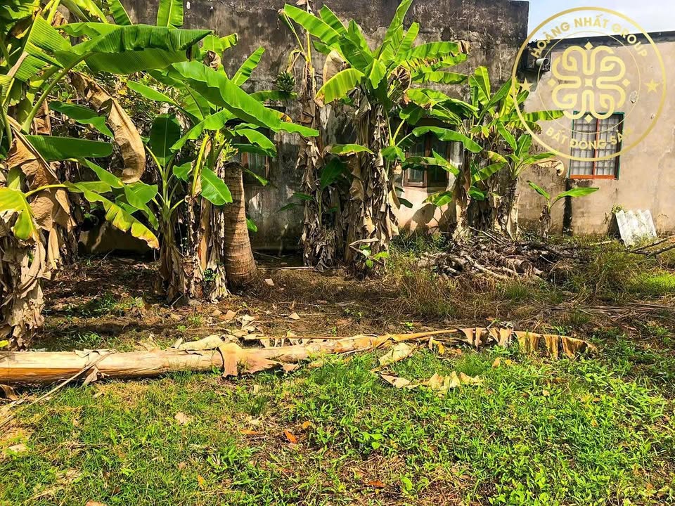 Bán Đất Mặt Tiền Kênh Chín Viên Cà Mau - 1330m² Giá Tốt