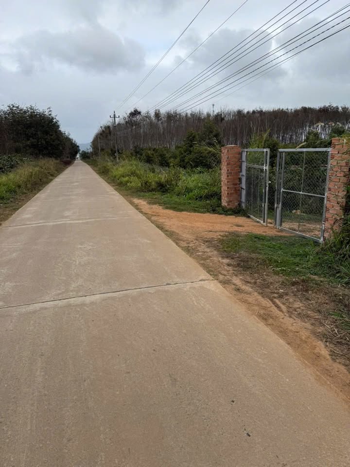 Bán Nhà Vườn Cư Bông Ea Kar 5300m² Giá 2 Tỷ - Nghỉ Dưỡng Lý Tưởng!