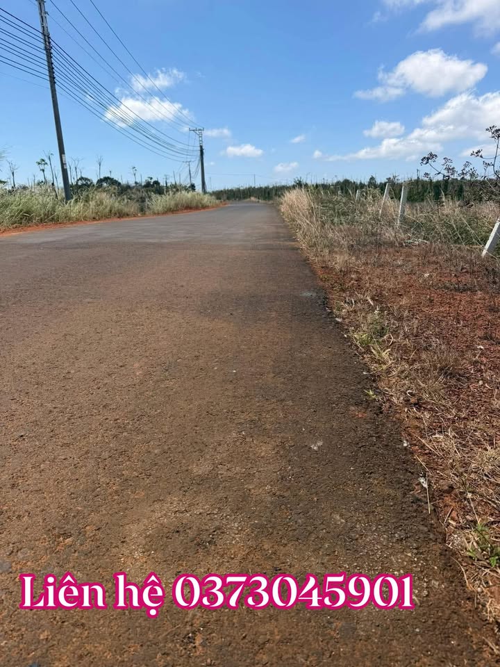 Đất Nền Đường Tránh Đắk Song 150m² - Giá F0 480 Triệu, Sổ Đỏ Sẵn Sàng