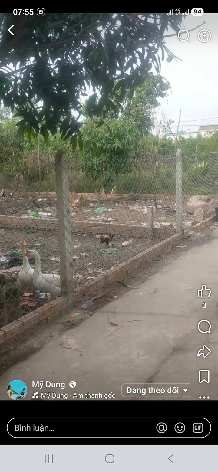 Bán 02 Lô Đất Vàng Quận 12 - 98.2m² - 103m² - Sổ Hồng Riêng