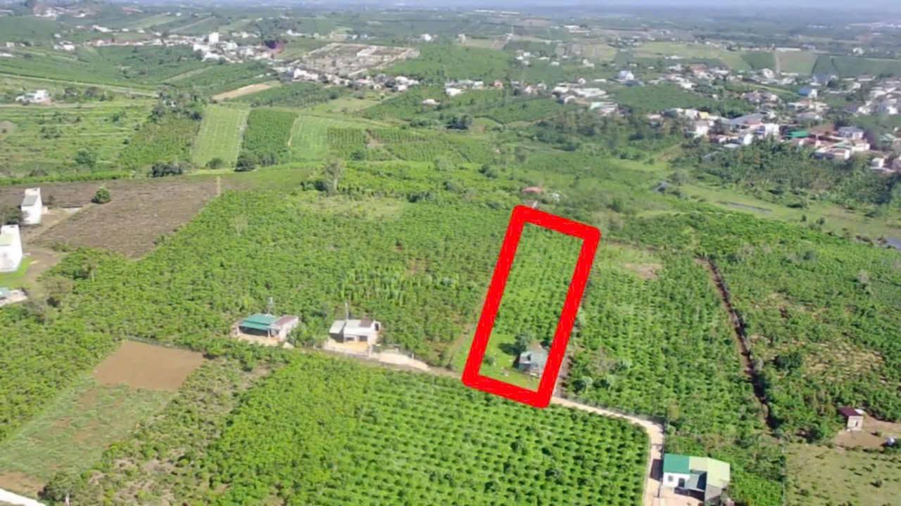 Đất Lộc Quảng, Bảo Lâm 4029m² - Sổ Đỏ, Có Nhà Cấp 4, Vườn Cà Phê