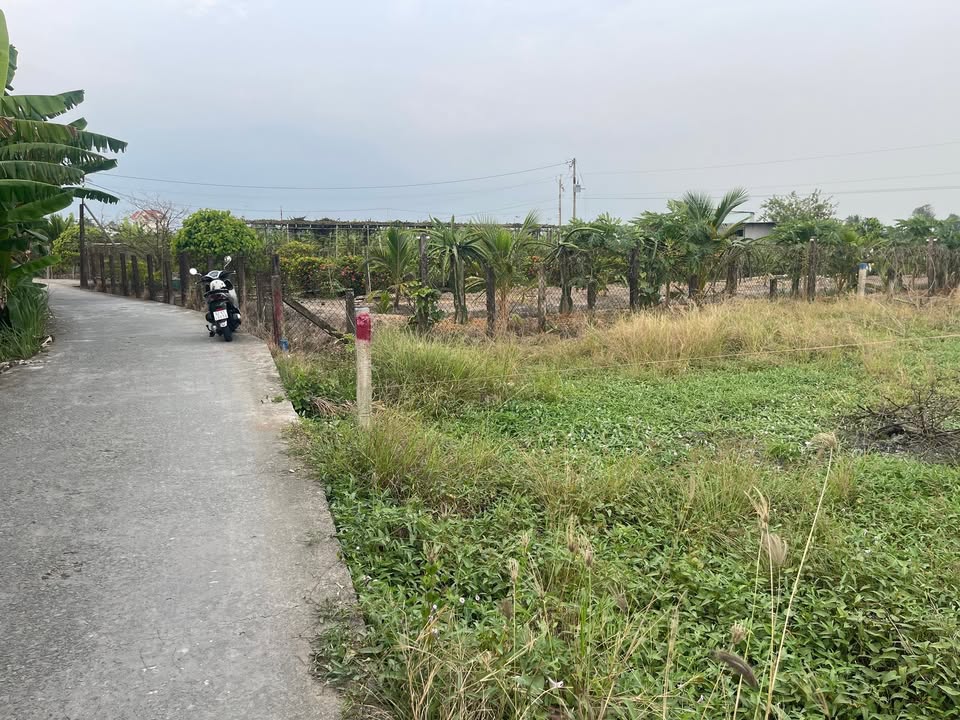 Bán Đất Thổ Cư Tầm Vu, Châu Thành, Tây Ninh - 150m² Sổ Hồng Riêng