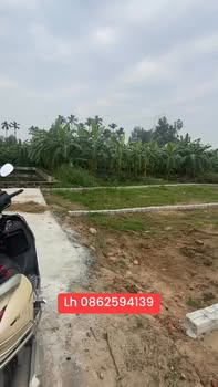 Đất nền Nho Lâm, Tứ Kỳ 113m² - Sổ đỏ chính chủ, đầu tư sinh lời!