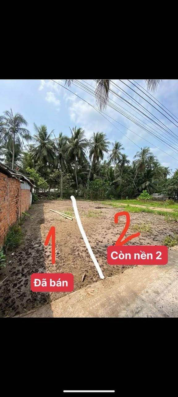Đất nền Tân Bình, Mỏ Cày Bắc 160m² - Sổ đỏ chính chủ, sang tên ngay!