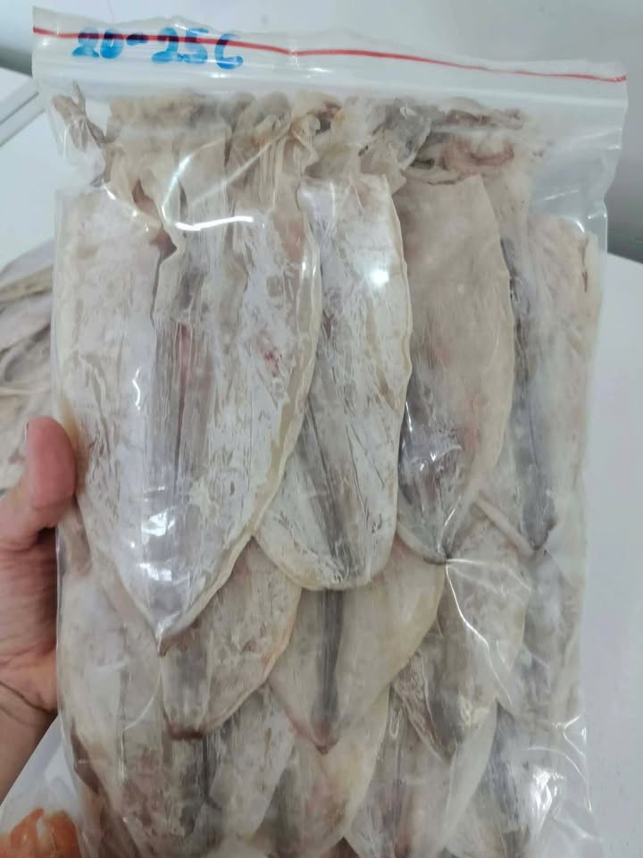 Đất Nền Bình Hoà, Giồng Trôm, Bến Tre - 155m² Giá Tốt