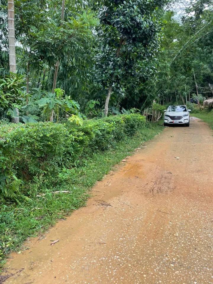 Bán đất Ngọc Lặc 571m² full thổ cư - Sẵn sổ, giá chỉ 1xx triệu