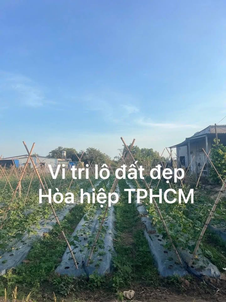 Đất Nền Xã Hòa Hiệp 554m² Sổ Hồng Riêng - Giá 1.3 Tỷ