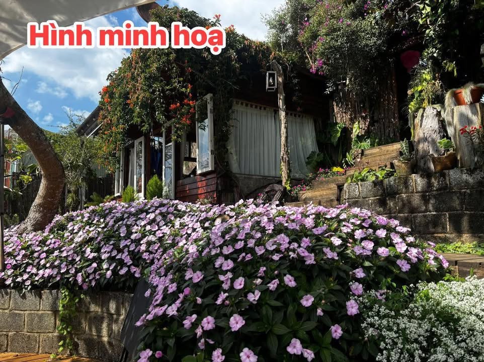 Đất Vườn Nghỉ Dưỡng Lộc Thành – 500m² Sổ Sẵn, Giá 380 Triệu