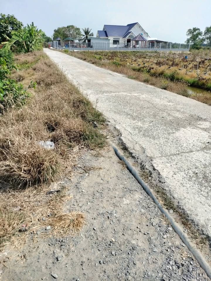 Đất Vườn Long An 2000m² View Sông Vàm Cỏ Tây - Giá 2.4 Tỷ