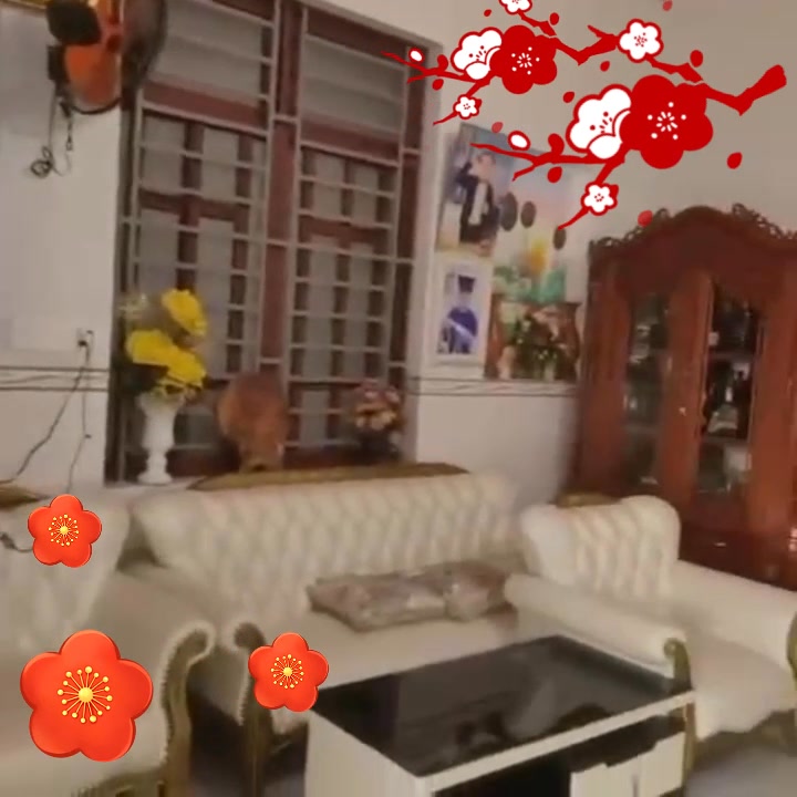 Nhà Cấp 4 Mặt Tiền Lê Văn Tám La Gi 100m² - Kinh Doanh Hoặc Ở Ngay