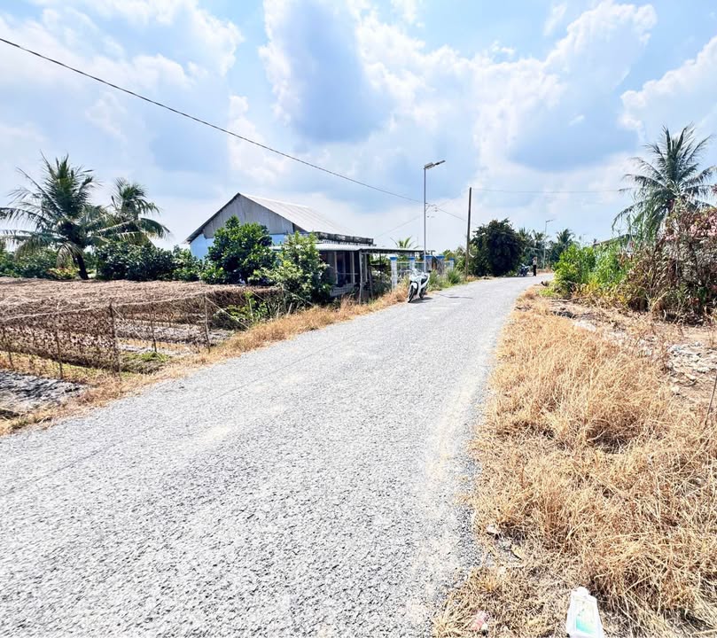 Đất nền Tân Lược, Bình Tân, Vĩnh Long 8500m² giá 3.4 tỷ - Sổ đỏ chính chủ!