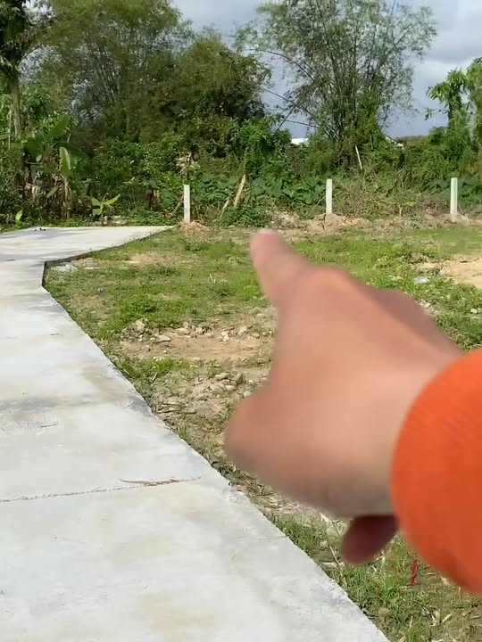 Đất vườn QL1A Long Biên 1000m² - Giá đầu tư tốt!