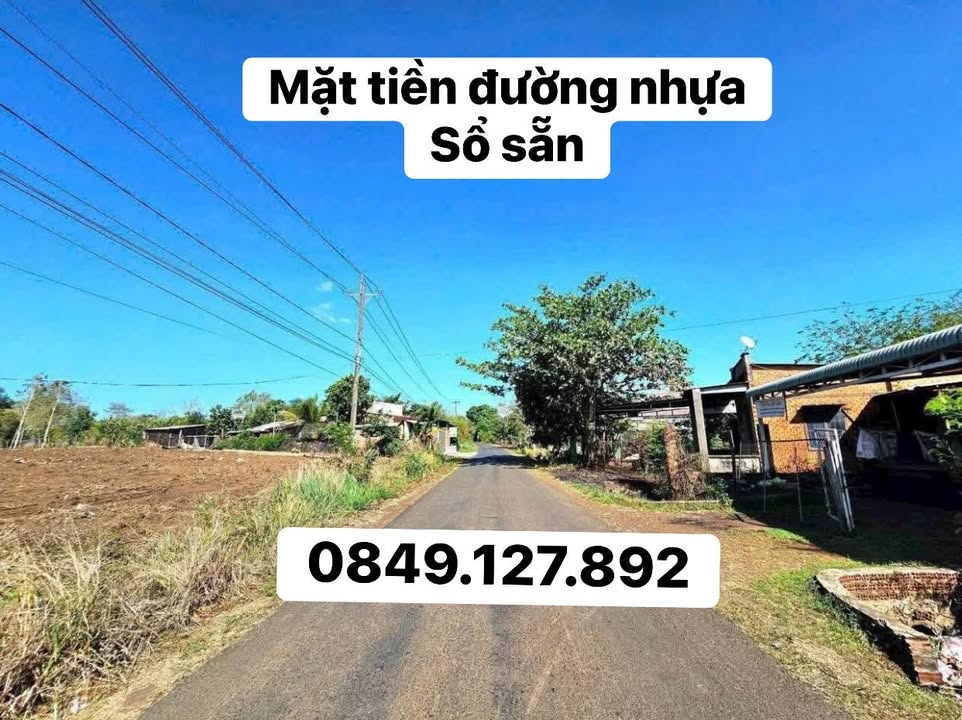 Bán Đất Đông Anh 900m² Mặt Tiền Đường Nhựa - Giá Sốc 385 Triệu