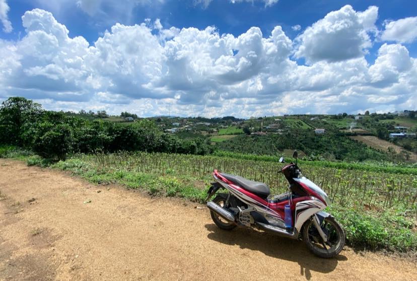 Đất vườn Lý Thái Tổ P2 Bảo Lộc 1000m² giá 1.539 tỷ - View cực phẩm!