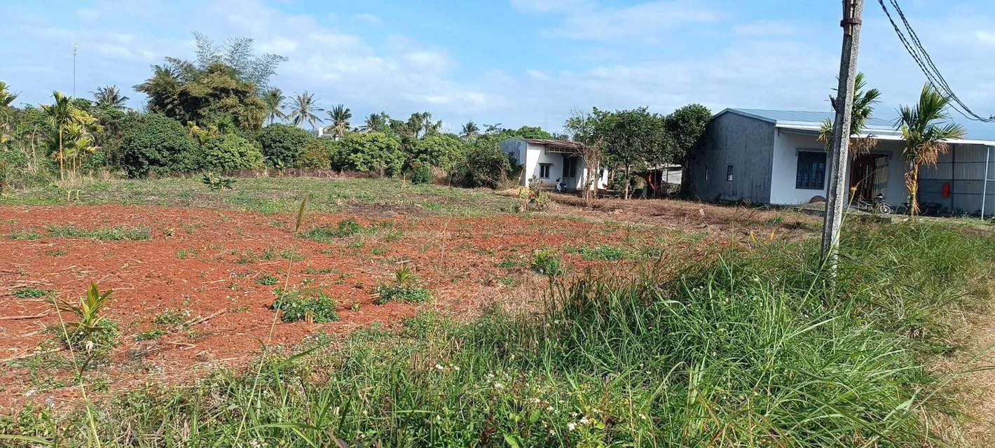 Đất nền Krông Pắc, Đắk Lắk 1100m² giá 720 triệu - Giá tốt hiếm có!