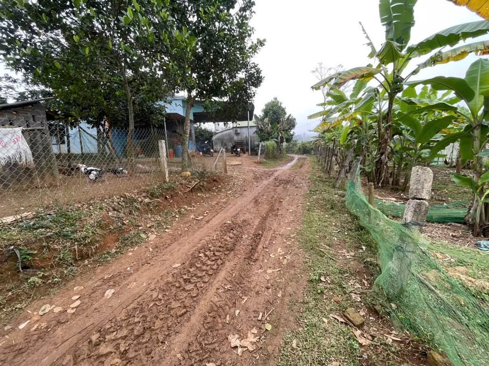 Đất Vườn Hoà Bình 1000m² - Giá Hơn 400 Triệu - Sổ Đỏ