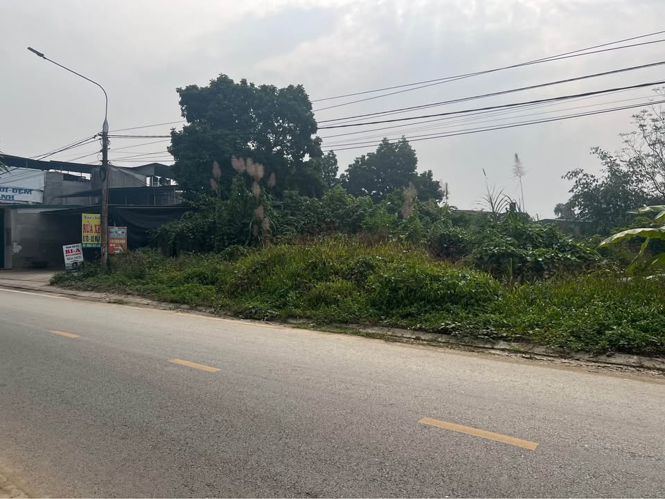 Đất nền Ỷ La, Tuyên Quang 1000m² – Tiềm năng tăng giá vượt trội!