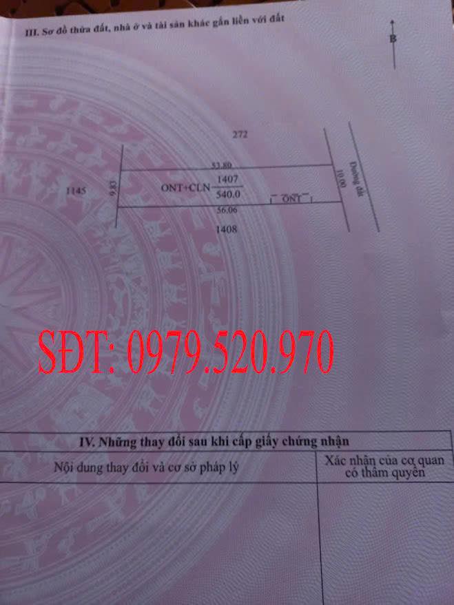 Đất Vàng Gò Dầu 540m² - 1.3 Tỷ, Sổ Hồng Riêng, Tiềm Năng Cao