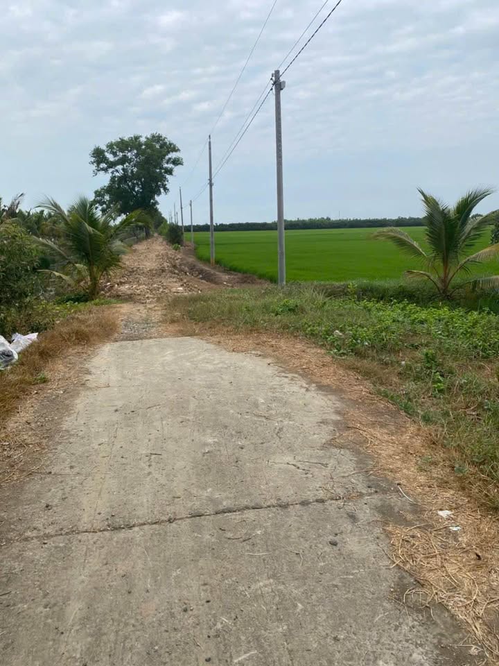 Bán Gấp 1.2ha Đất Ruộng Giang Thành, Kiên Giang - Giá Tốt