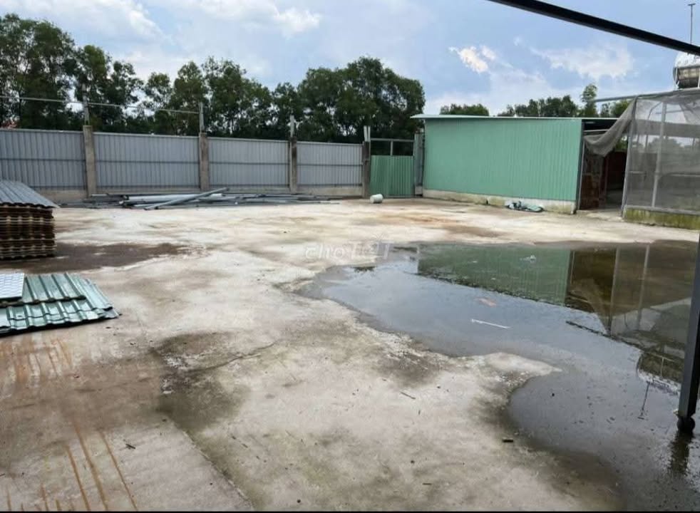 Đất Củ Chi 1054m² Sát Tỉnh Lộ 2 - Chủ Giảm Sốc 1 Tỷ, Giá Chỉ 7 Tỷ