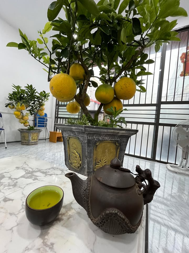 Đất nền Võ Nguyên Giáp 303m² - Giá 39.77 tỷ - Đầu tư sinh lời ngay!