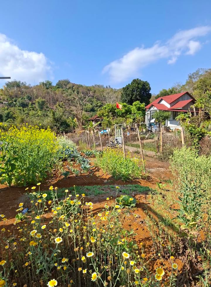 Đất Vườn Sơn La 300m² - Tiềm Năng Tăng Giá Vượt Trội!