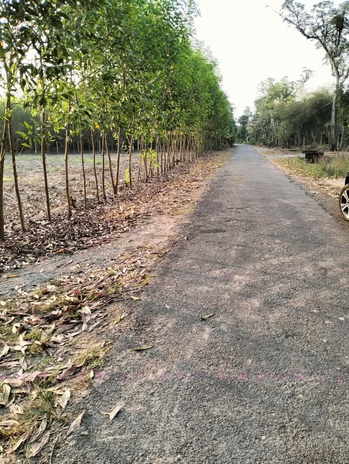 Đất Thổ Cư 1400m² Sổ Đỏ Sẵn Sàng Tại Suối Cao, Xuân Lộc - Đầu Tư Sinh Lời