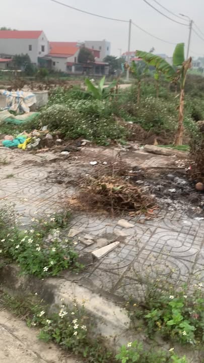 Đất nền Khu đấu giá Liên Sơn 105m² - Pháp lý rõ ràng!