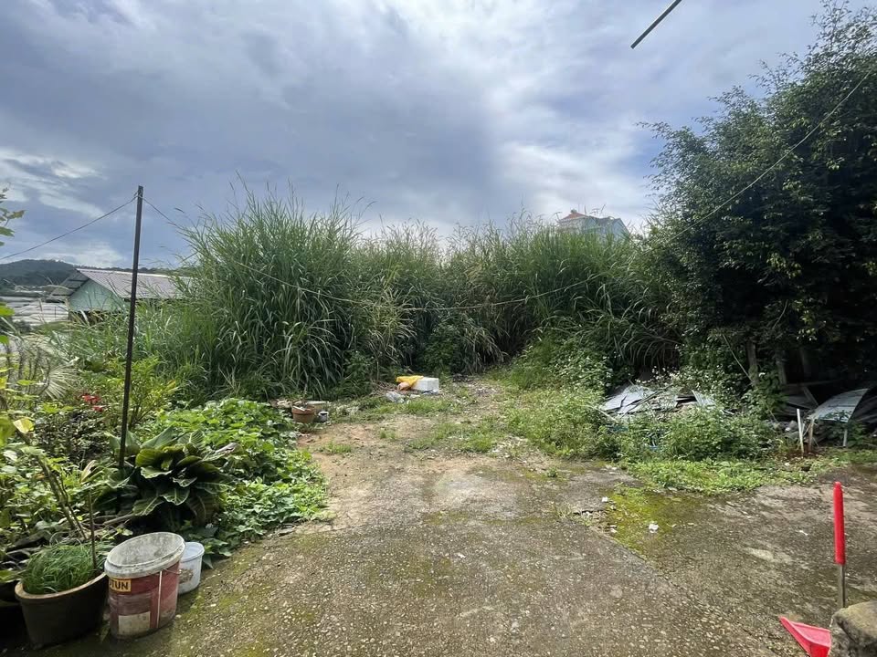 Đất Vàng Đà Lạt - 301m² Phường 5, P.Cam Ly, Sổ Riêng XD