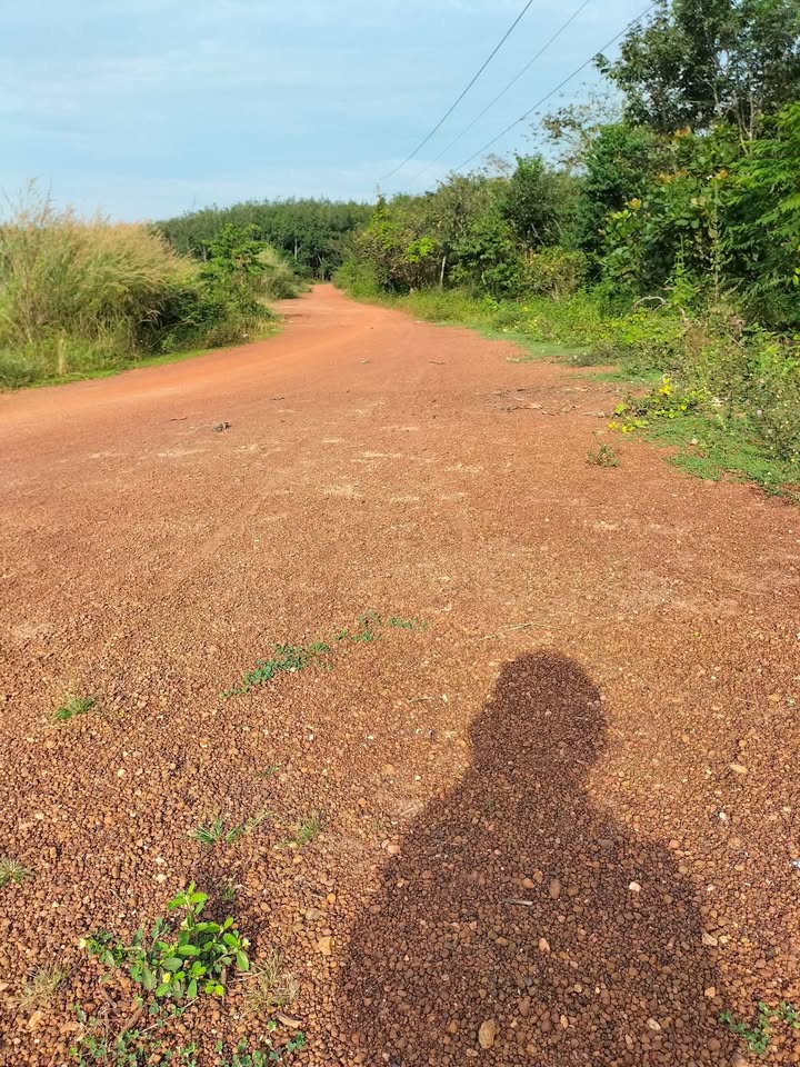 Đất nền Lộc Ninh 500m² - Sổ đỏ sẵn, tiềm năng tăng giá!