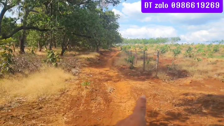 Đất Vườn Xã Dak Lua, Tân Phú 1.7ha giá 1.8 tỷ - Nghỉ dưỡng lý tưởng!