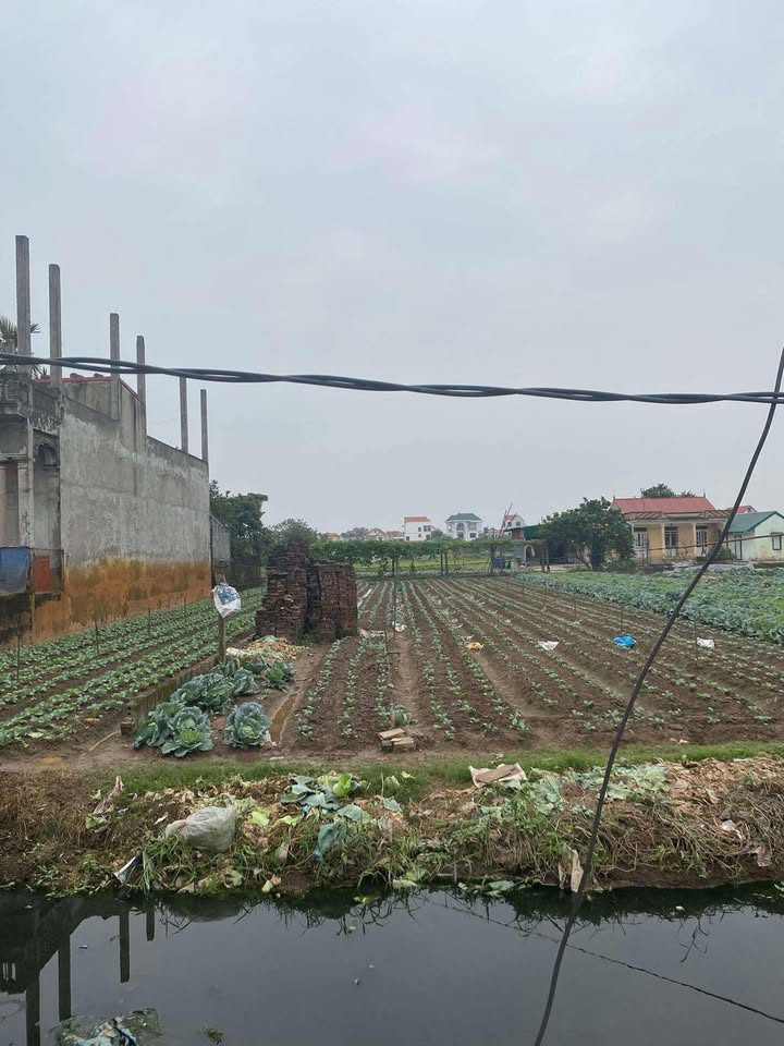 Bán Gấp Đất 200m² Phú Xuyên - Sổ Đỏ Vuông Vắn - Giá Đầu Tư 1x/m²