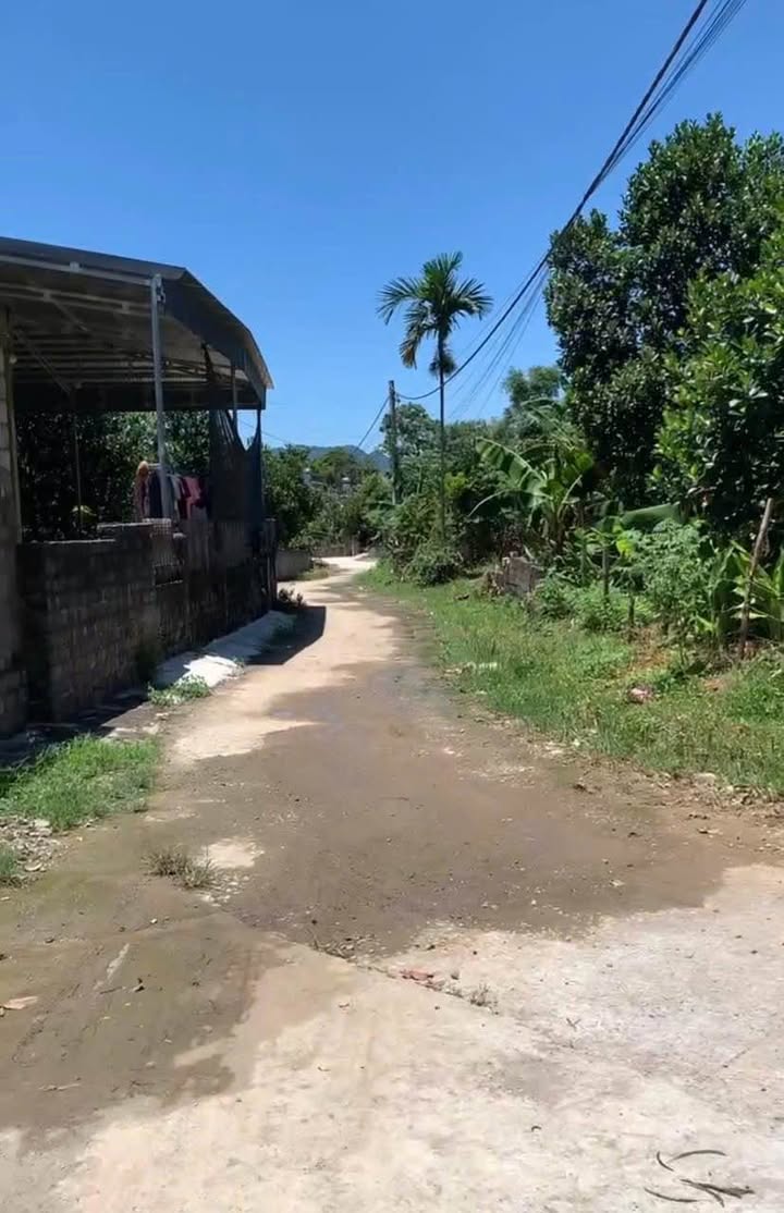 Bán 3 Lô Đất Thổ Cư 143-145m² tại An Nghĩa, Lạc Thủy - Sẵn Sàng Xây Dựng