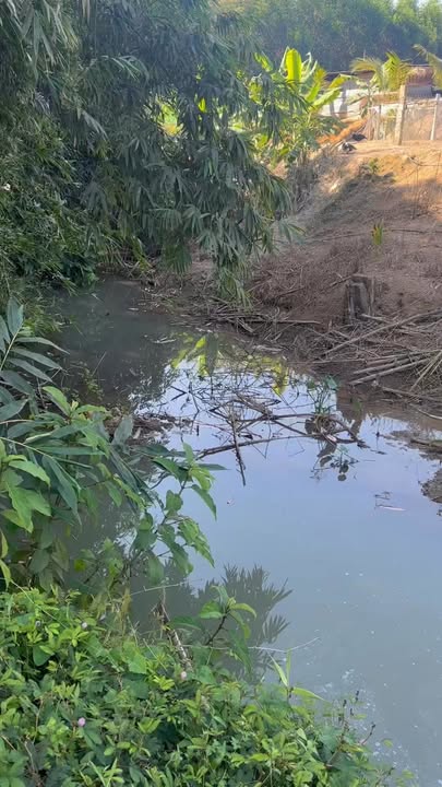 Bán đất vườn Hóc Môn 1024m² giá 580 triệu - Nghỉ dưỡng lý tưởng!