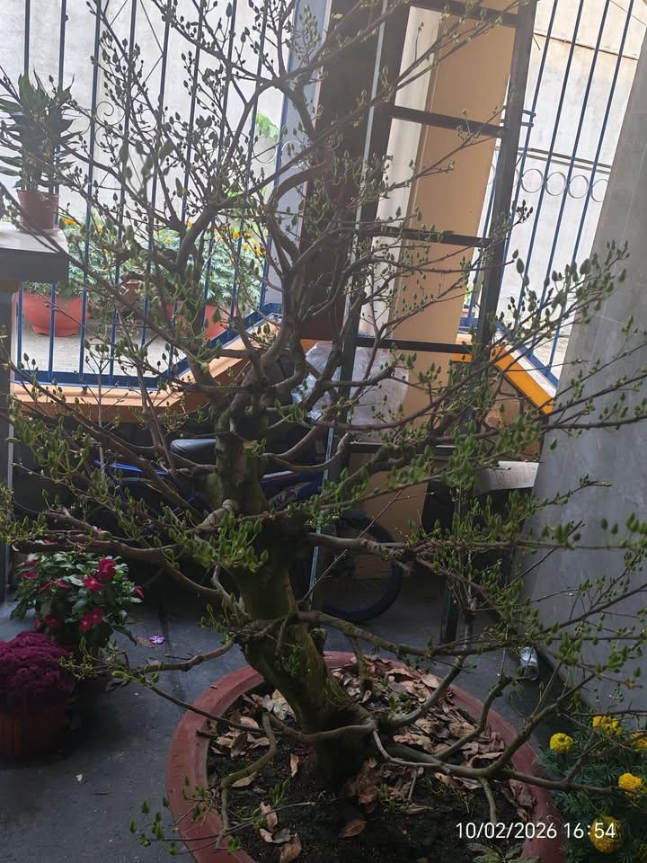 Bán Gấp Đất Vườn 2400m² Hóc Môn - Giá Tốt Đầu Tư Cuối Năm