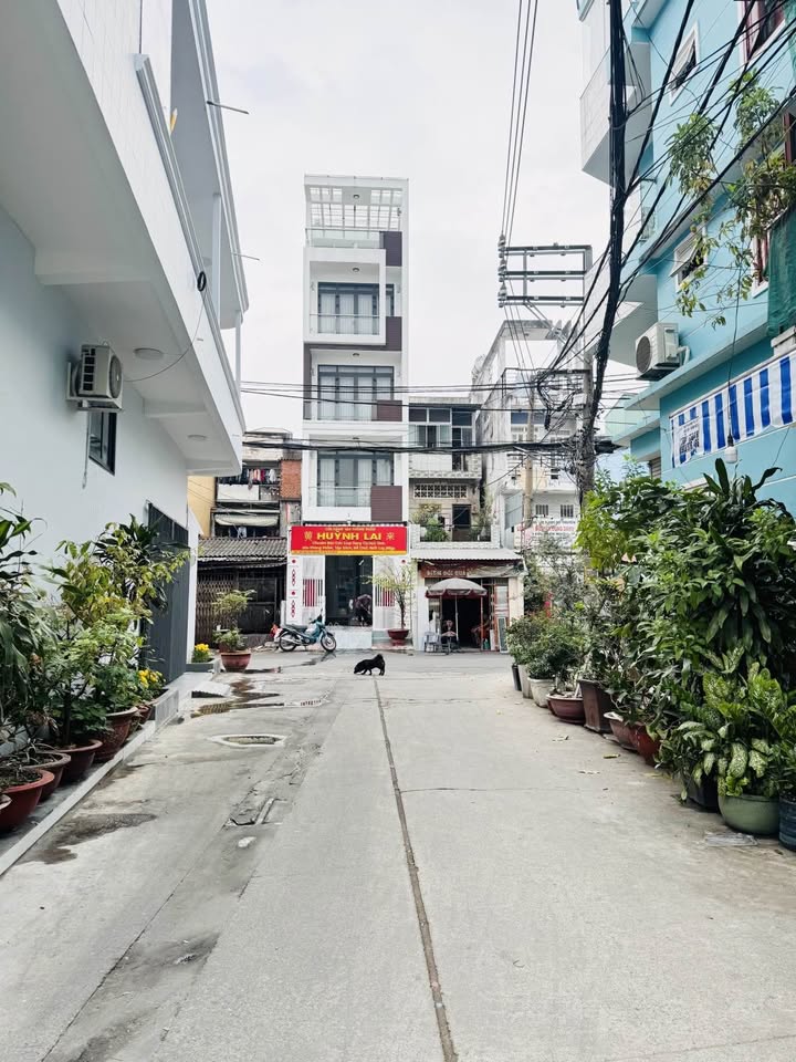 Nhà Riêng Quận 11 50m² giá 5.6 tỷ - Sổ hồng sẵn, xây mới 5 tầng!