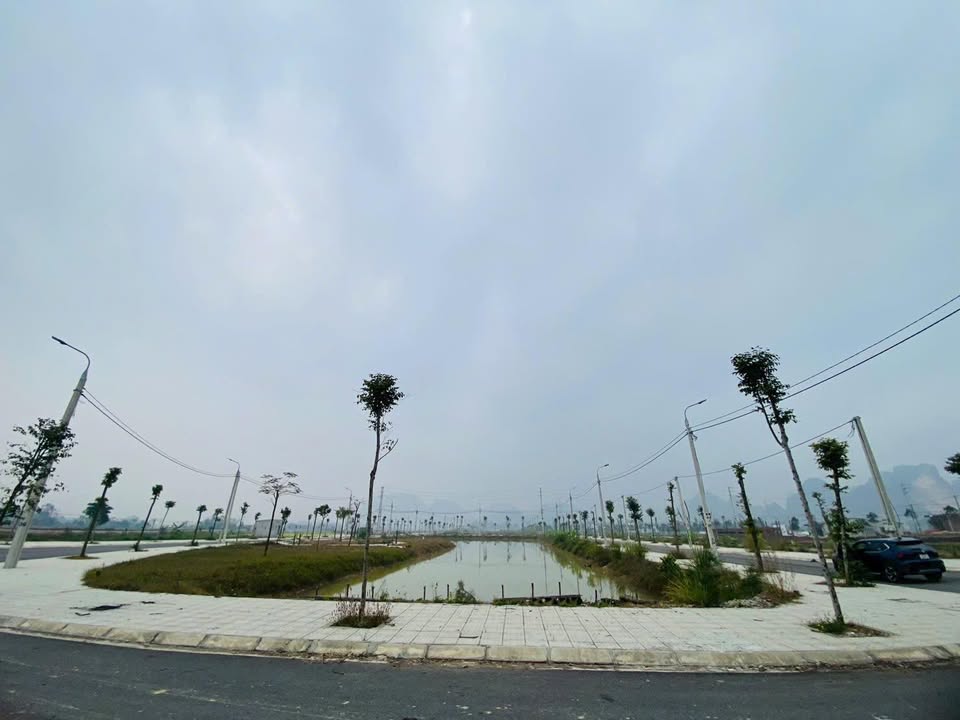 Bán Gấp 2 Lô Đất Liền Kề 250m² Phường Đông Quang, Thanh Hóa - Cơ Hội Đầu Tư Sinh Lời