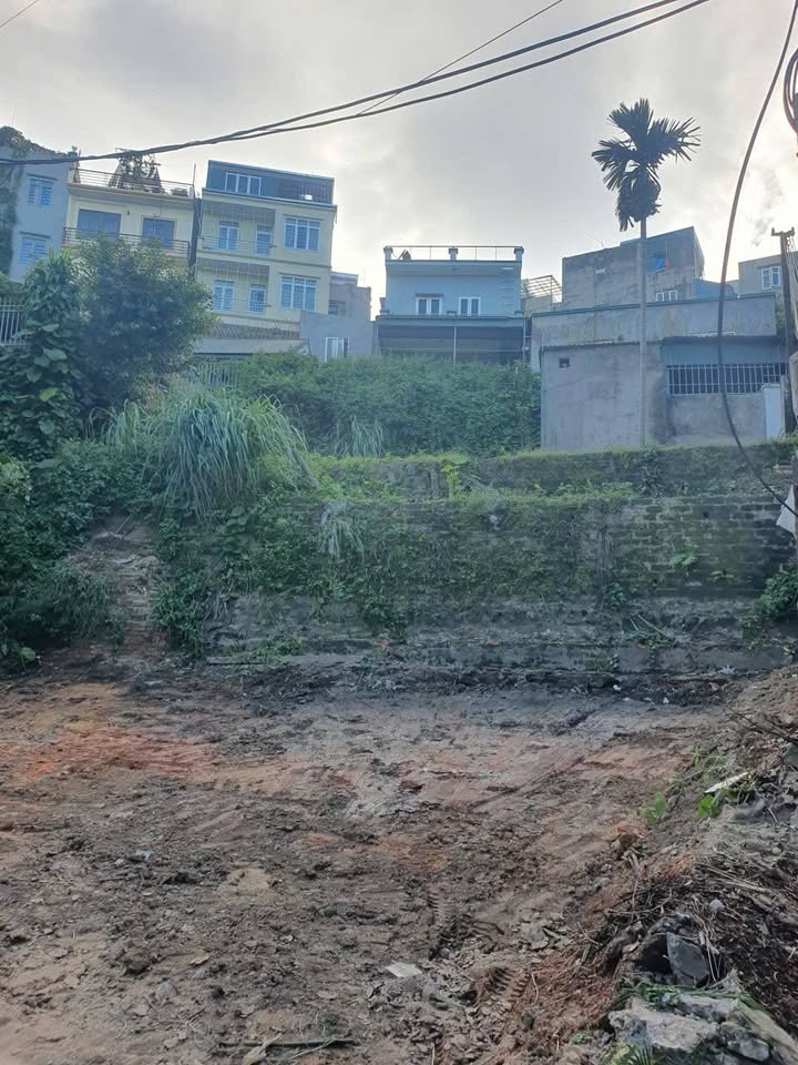 Đất nền Trần Hưng Đạo, Hạ Long 60m² giá 1 tỷ - Sổ đỏ chính chủ!