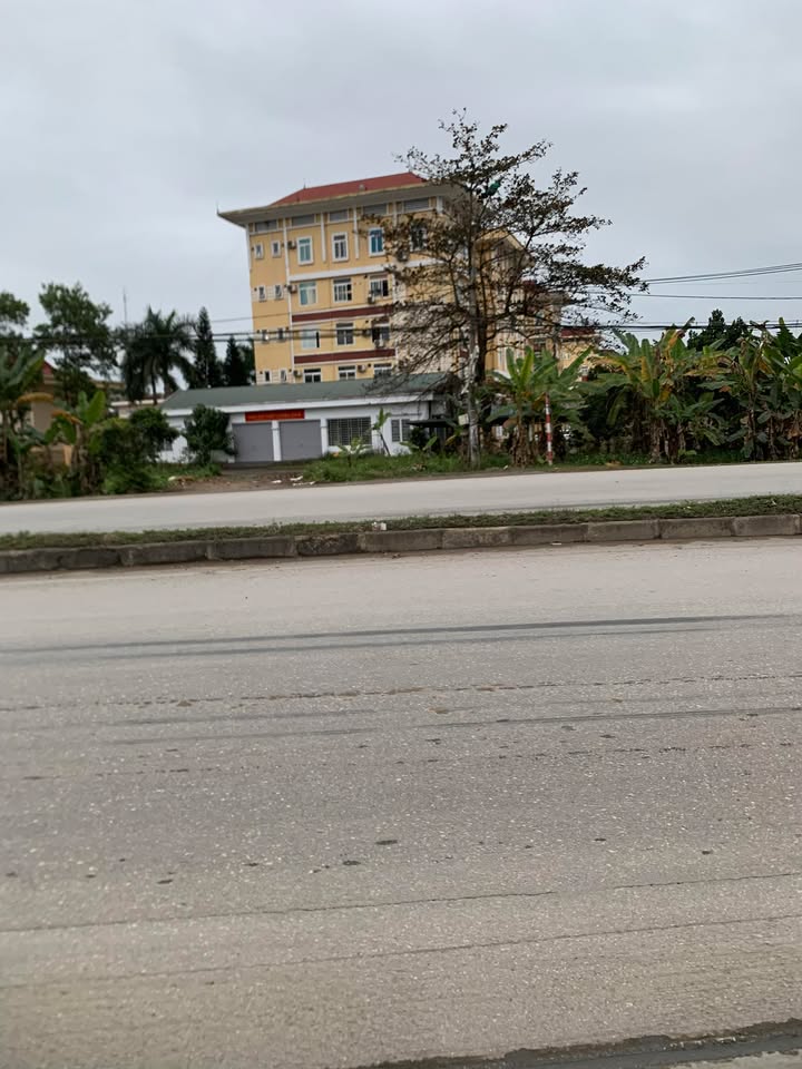 Đất nền mặt tiền Quang Trung, Yên Sơn 208m² - Tiềm năng tăng giá vượt trội!