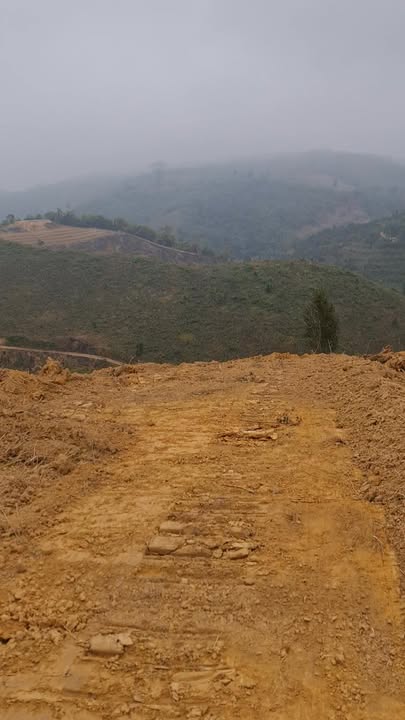 Bán Gấp 2.4ha Đất Vườn Đắk Nông - Giáp Suối, Gần Dân Cư, Giá Chỉ 700 Triệu