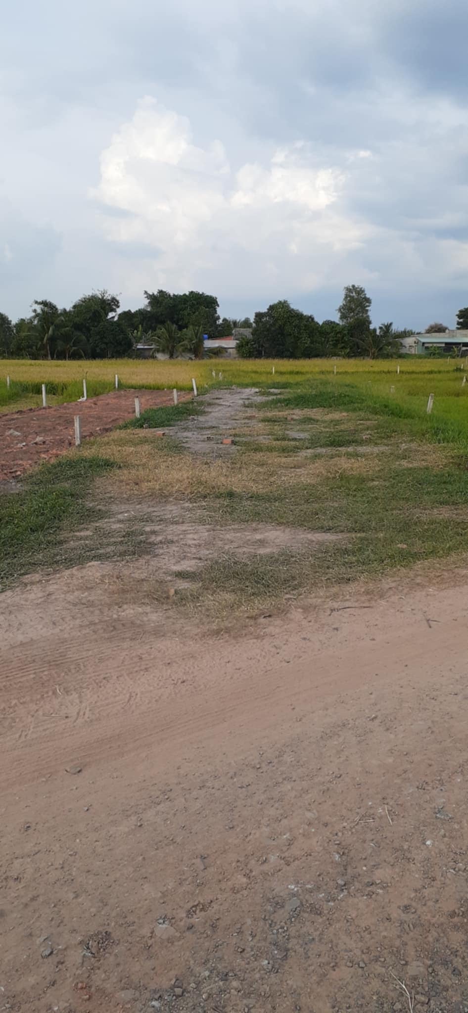 Đất Nền Đức Huệ 200m² - Thổ cư 100%, sổ hồng riêng!